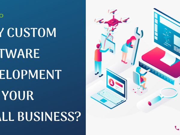 why Custom Software Development for SME's