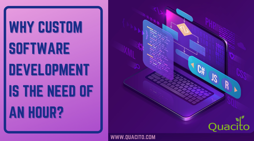 Why Custom Software Development Is The Need Of An Hour